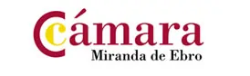 Logo 8